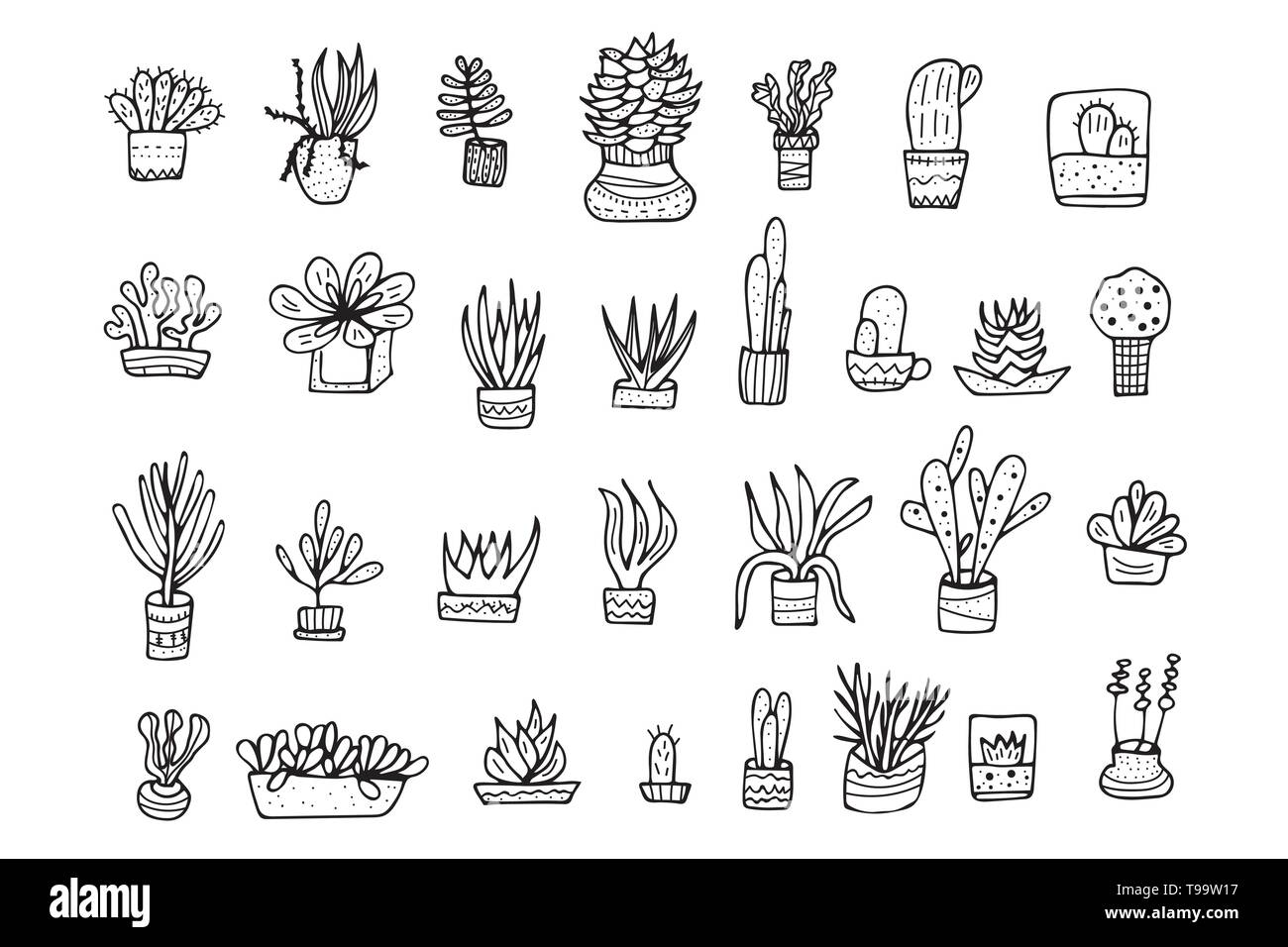 Succulents in doodle style. Set of house plants. Poster, banner ...
