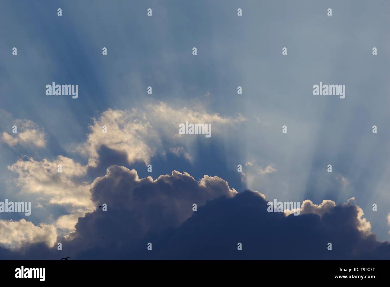 Stunning Crepuscular Sun Rays From Behind Cumulus Mediocris Cloud At stunning-crepuscular-sun-rays-from-behind-cumulus-mediocris-cloud-at