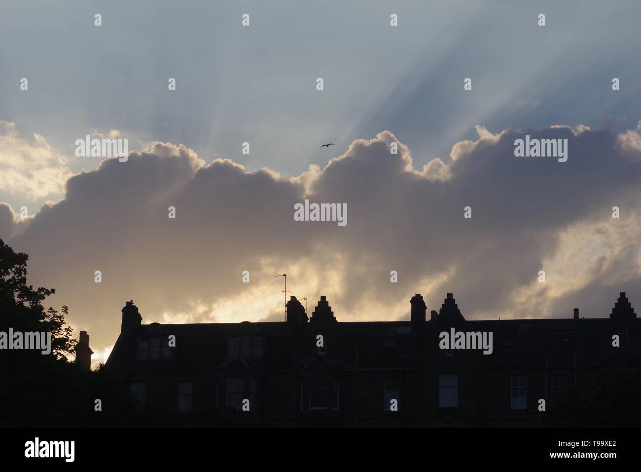 Silhouetted Houses With Stunning Crepuscular Sun Rays From Behind silhouetted-houses-with-stunning-crepuscular-sun-rays-from-behind