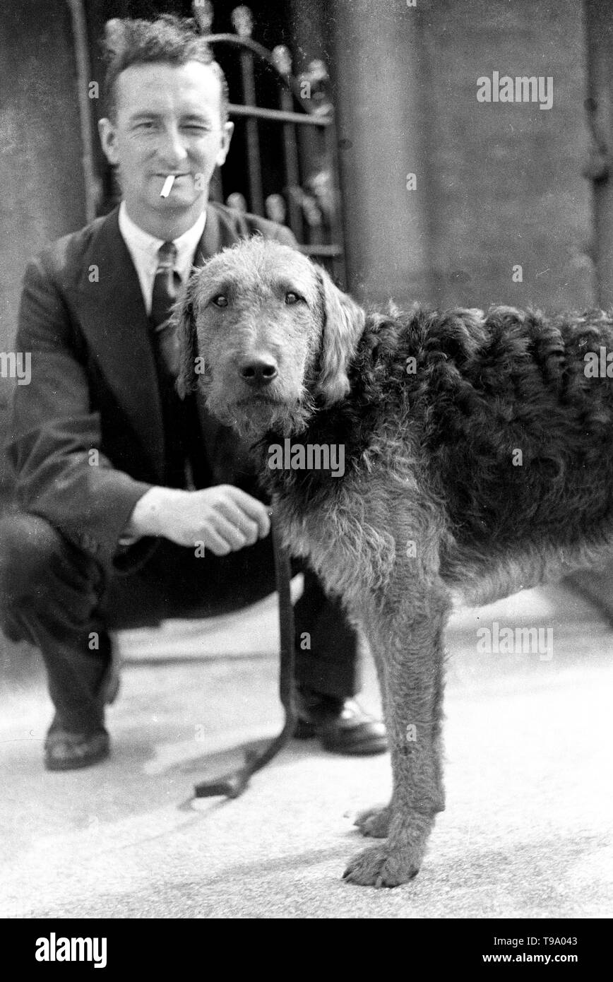Man smoking a cigarette poses for a portrait with an Irish Wolfhound c1935 Photo by Tony Henshaw Stock Photo