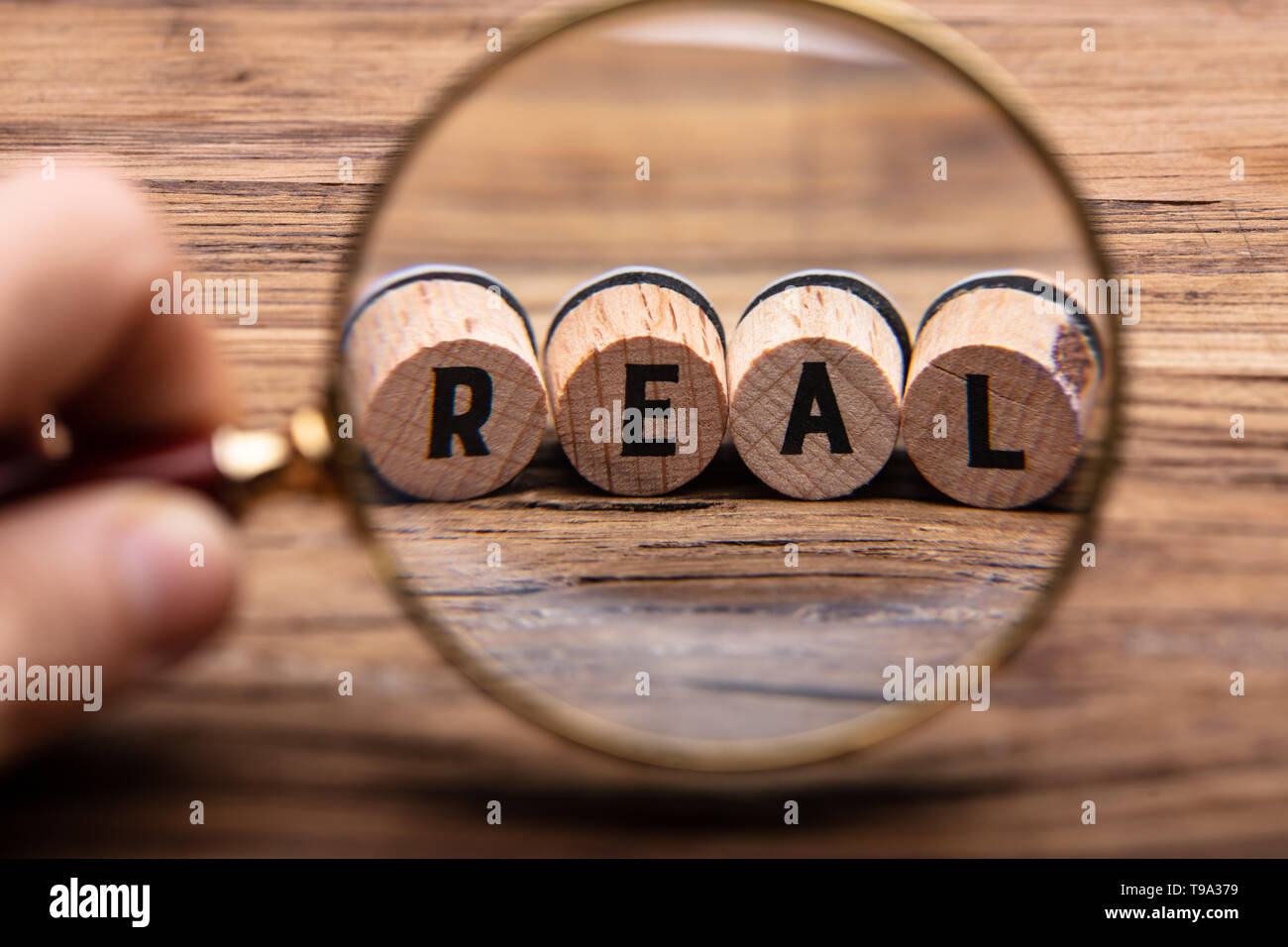 Close-up Of A Person Examining Real Corks Through Magnifying Glass On Wooden Table Stock Photo