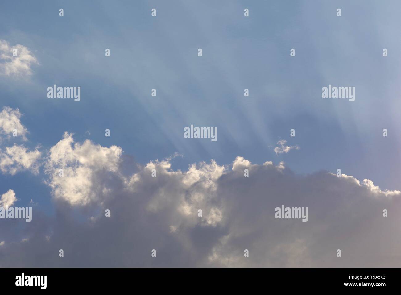 Stunning Crepuscular Sun Rays From Behind Cumulus Mediocris Cloud At stunning-crepuscular-sun-rays-from-behind-cumulus-mediocris-cloud-at