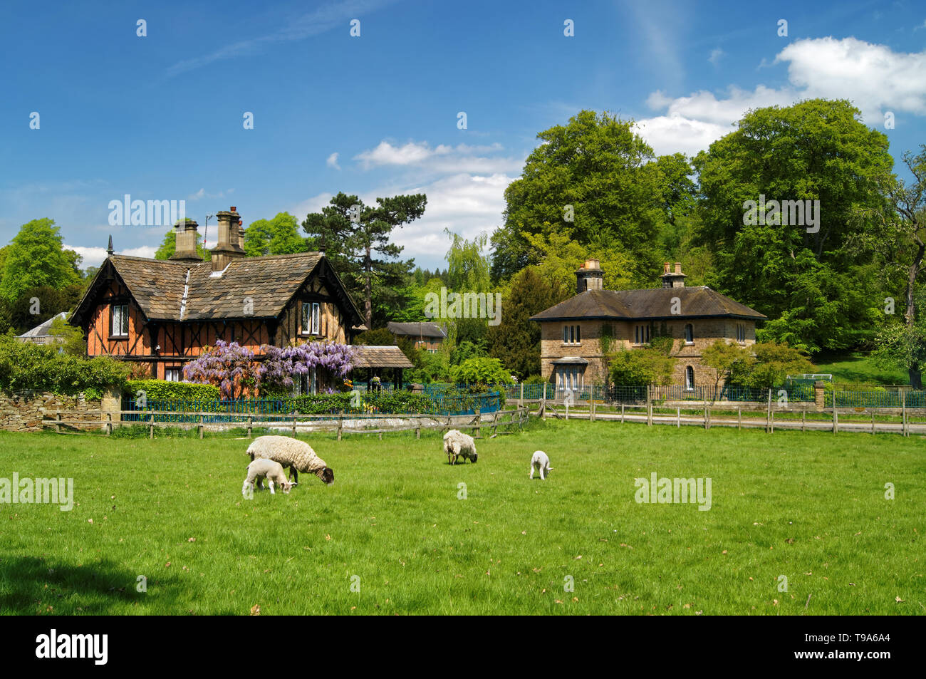 UK,Derbyshire,Peak District,Chatsworth Park,Edensor Cottages Stock Photo
