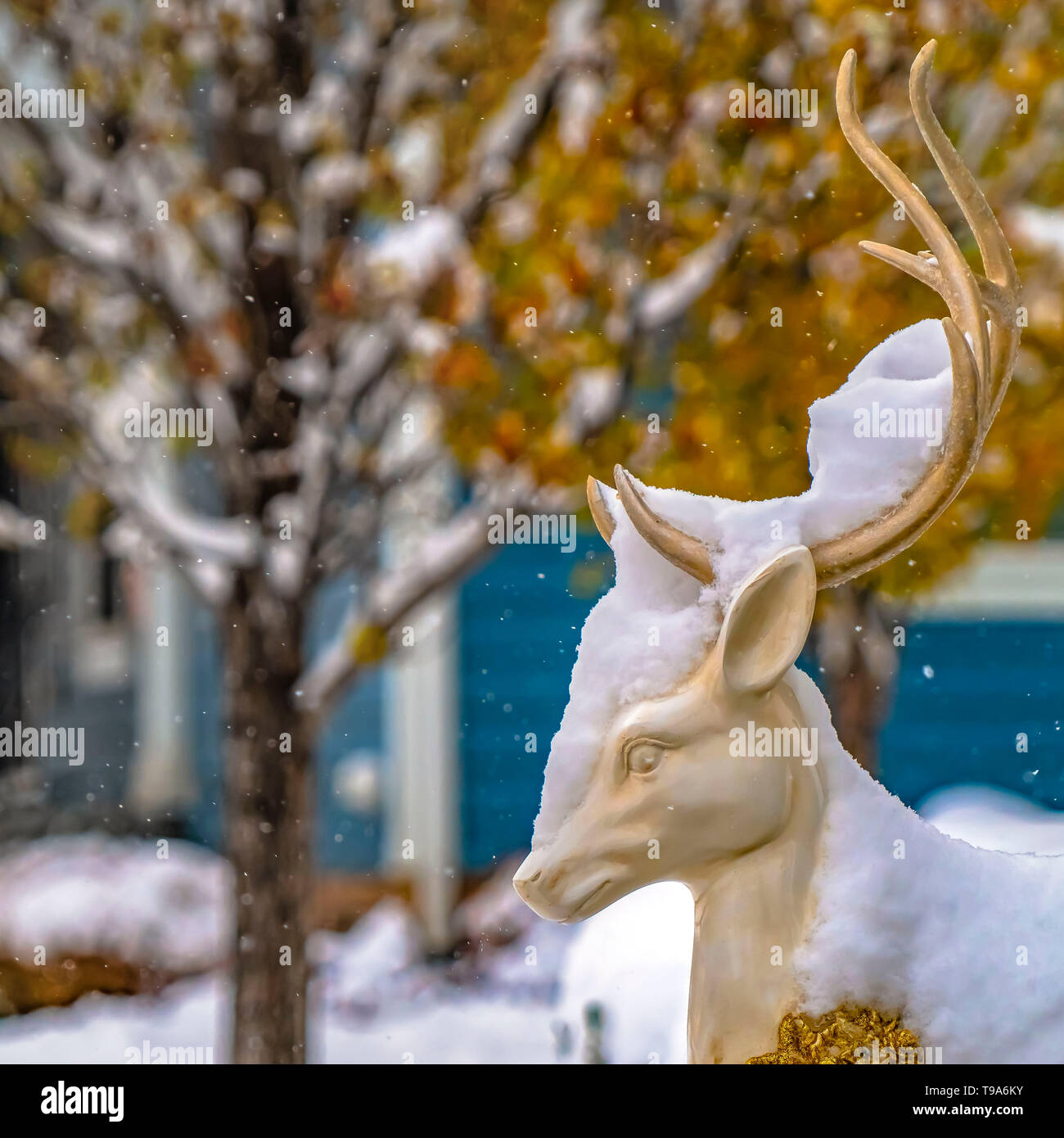 Clear Square Snow Covered White Reindeer Christmas Decoration On A