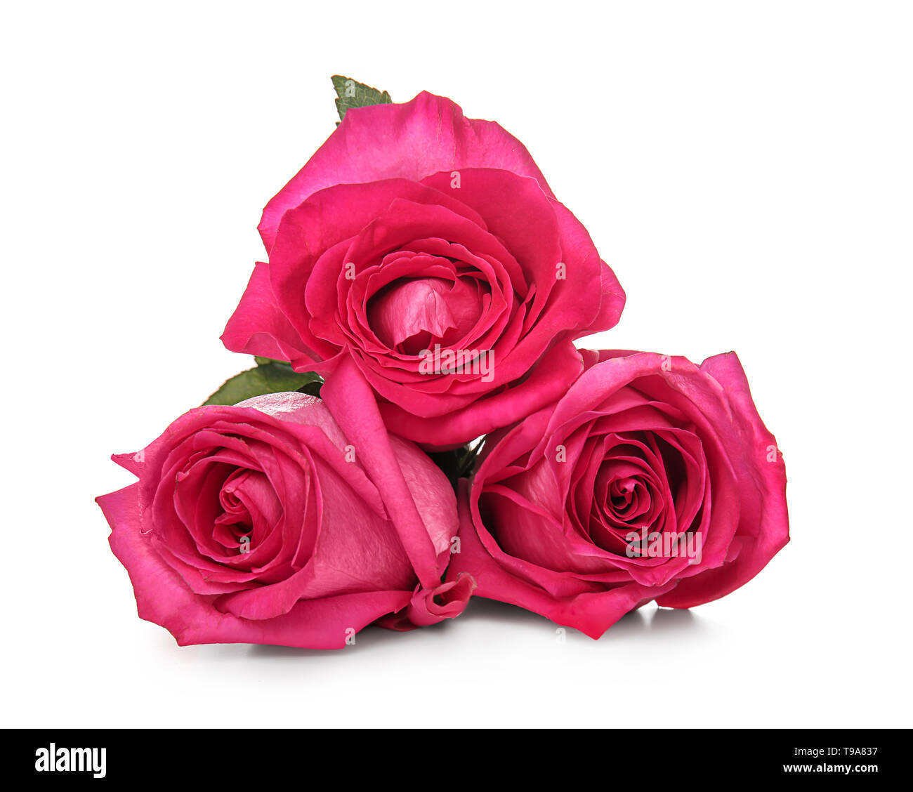 Beautiful bouquet of roses on white background Stock Photo - Alamy