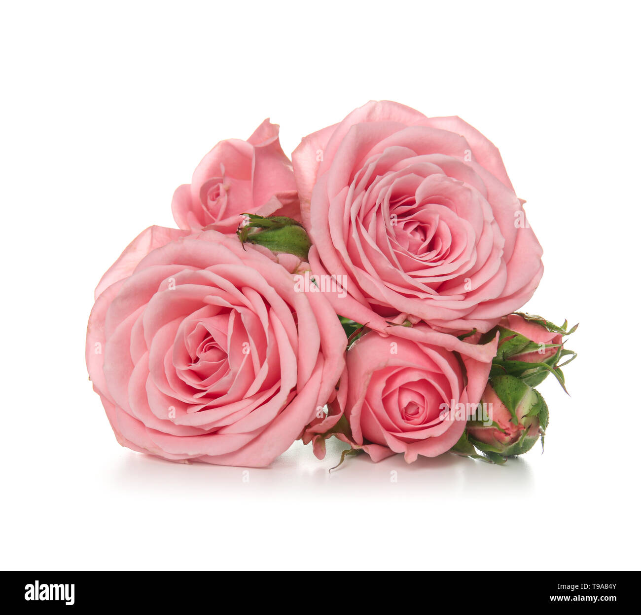 Beautiful bouquet of roses on white background Stock Photo - Alamy