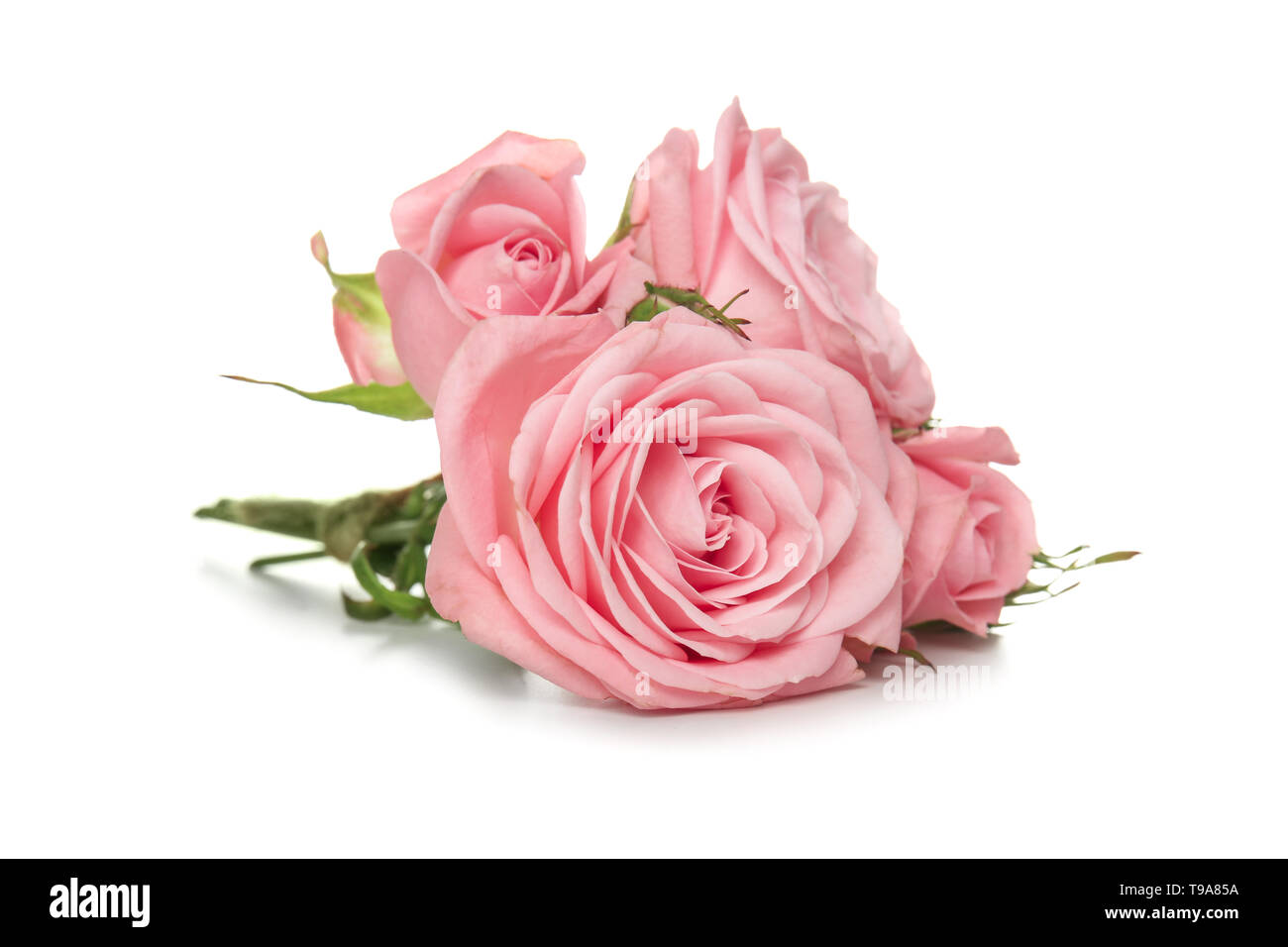 Beautiful bouquet of roses on white background Stock Photo - Alamy