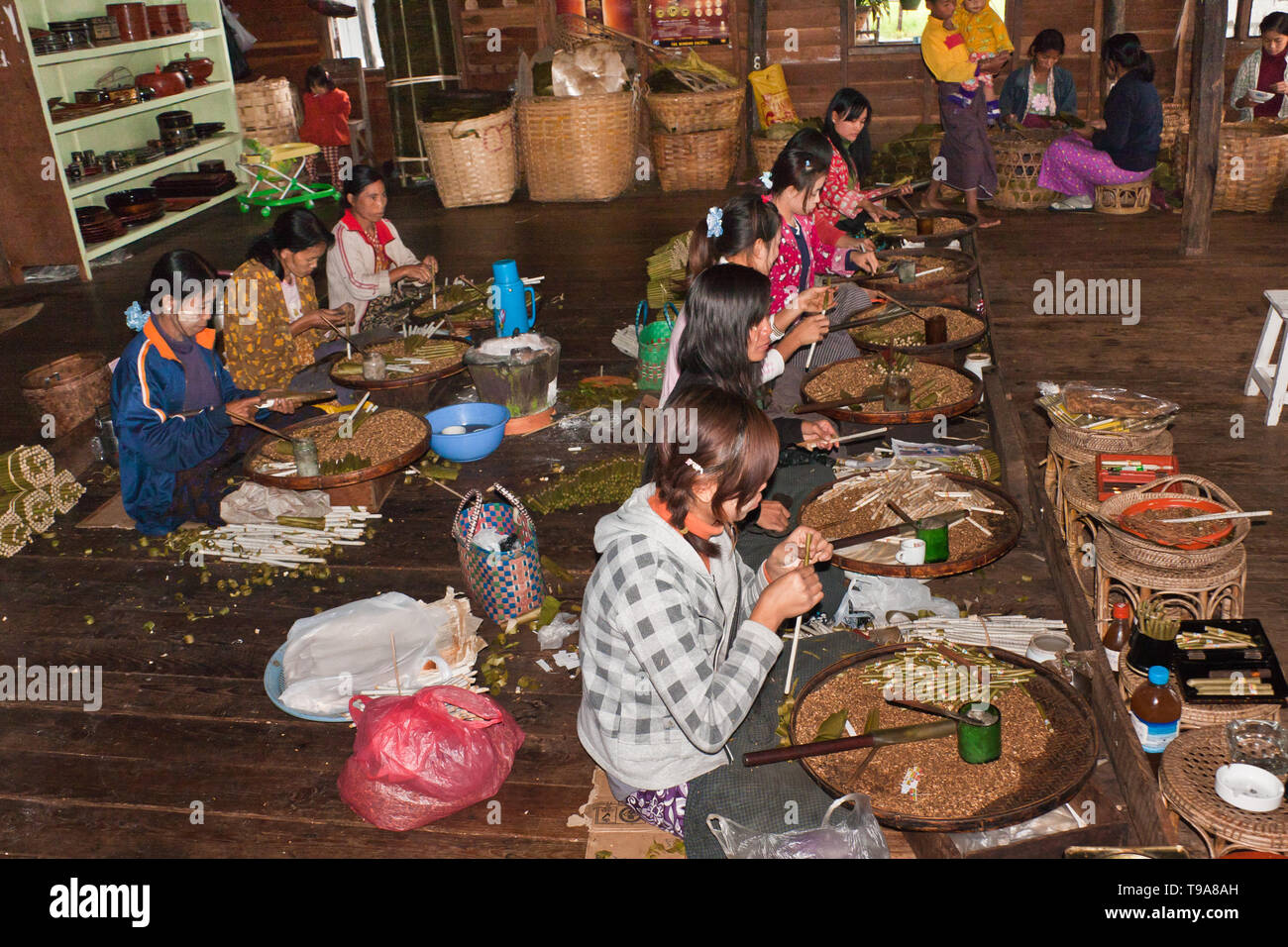 Burmese women making cigars in a small factory on the Inle Lake, Myanmar Stock Photo