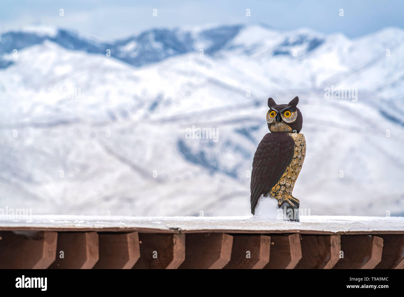 Snowy roof of a building with an owl sculpture on top viewed in winter