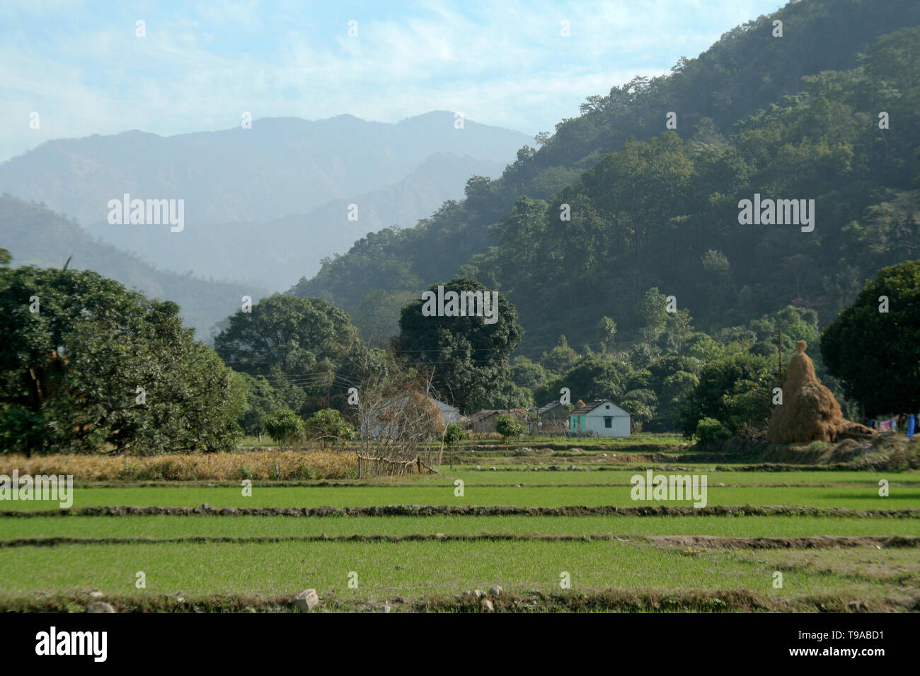 Woodland indian village hi-res stock photography and images - Alamy