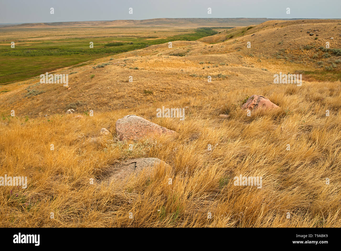 Rolling hills and coulees of mixed-grass native prairie Grasslands National Park Saskatchewan Canada Stock Photo