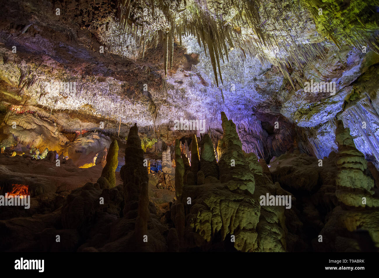 Cave interior with stalactites and stalagmites lit in colors near Porto Cristo, Mallorca, Spain. Stock Photo