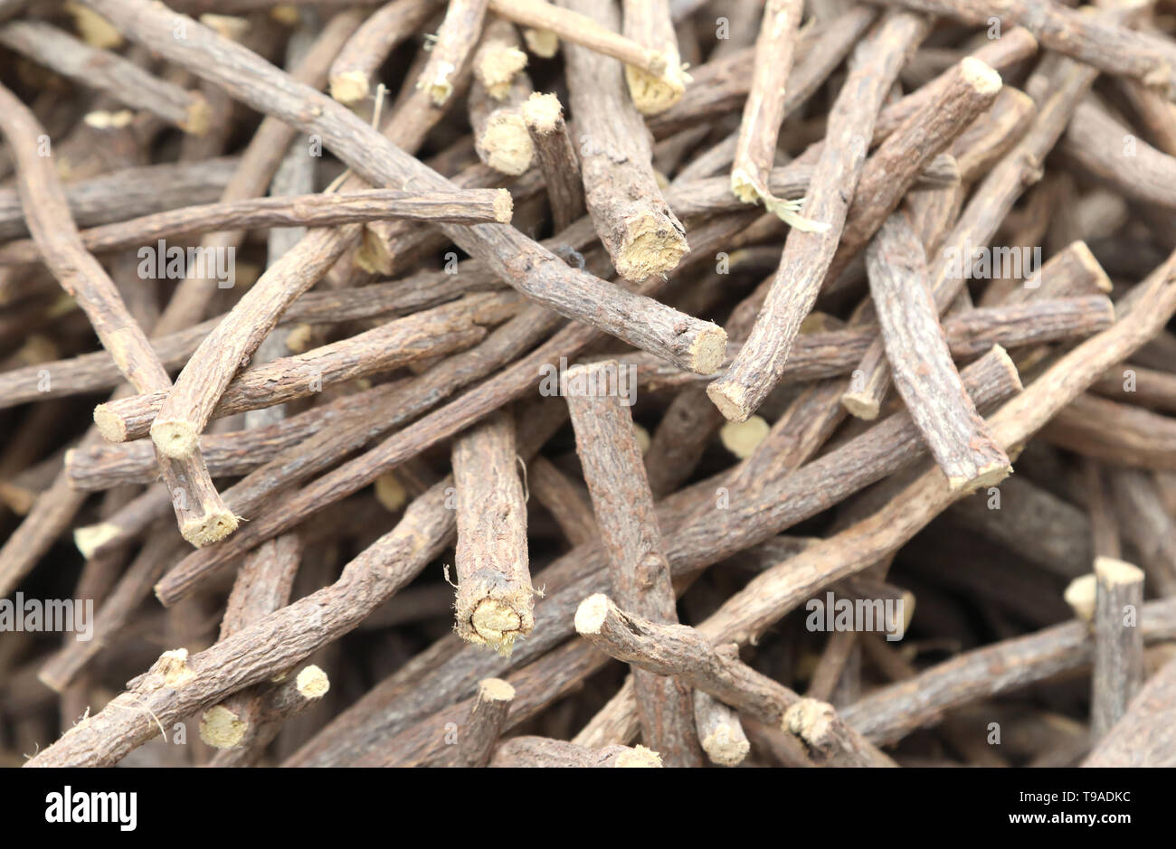 many licorice roots for sale at european market Stock Photo Alamy