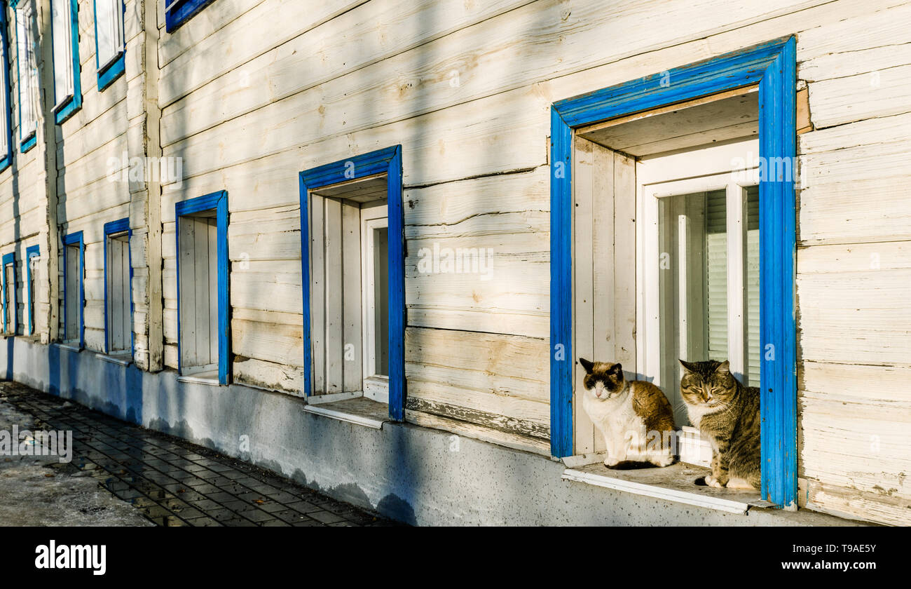 Two cute cats sitting on a window sill of a Russian house in Suzdal, Russia Stock Photo