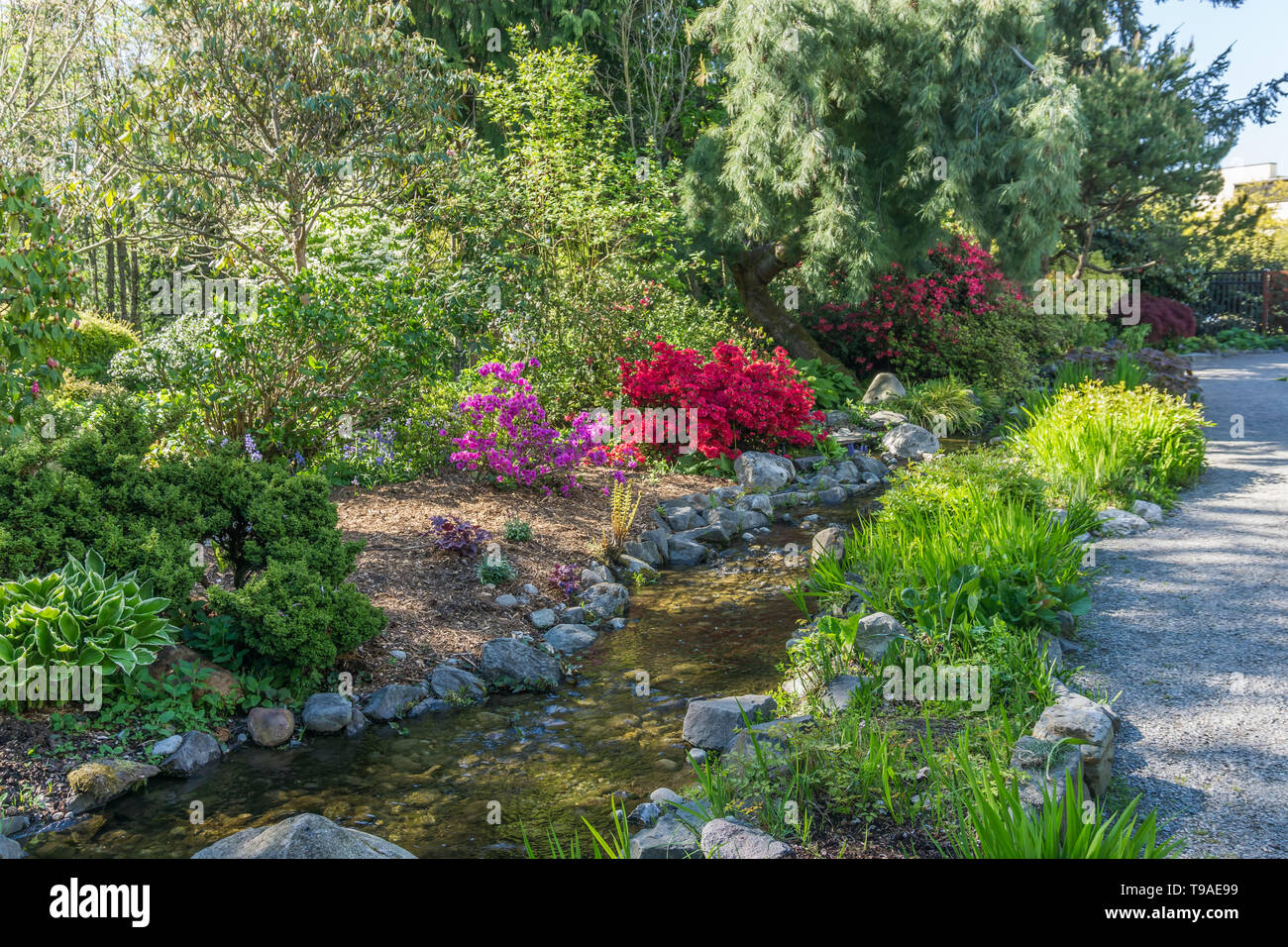 A stream with rock flows through a garden Stock Photo - Alamy