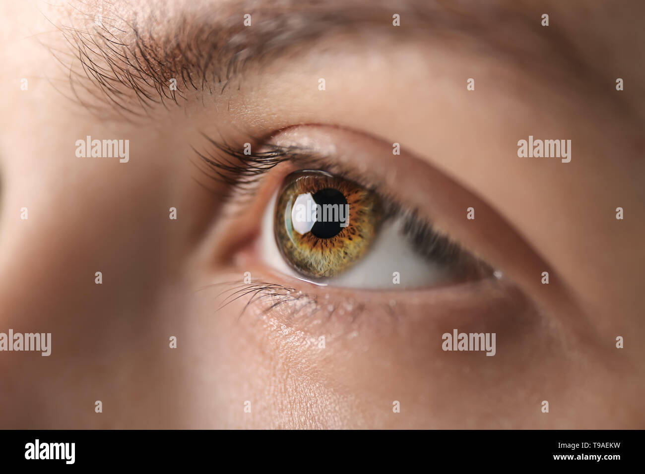 Young Woman With Beautiful Eyes Closeup Stock Photo 246708109