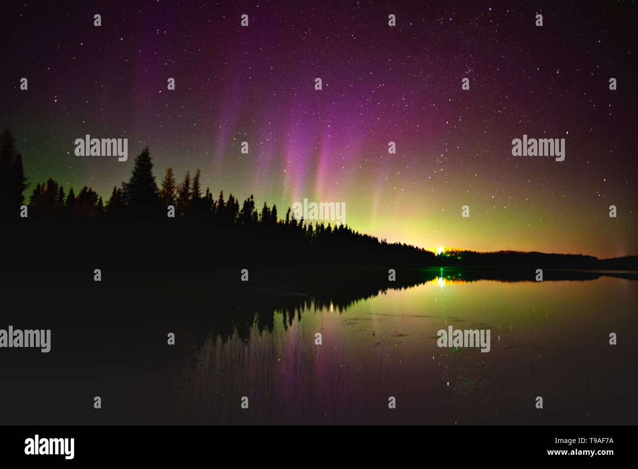 Norhern lights (Aurora borealis) reflected in Lac Sauvage Chibougameau
