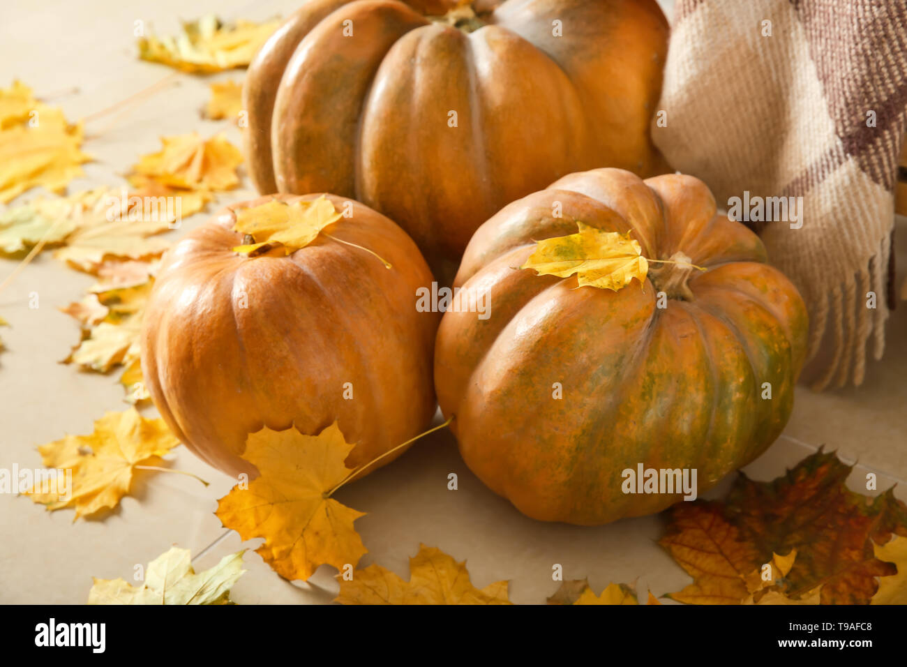 Whole fresh pumpkins with autumn leaves on floor Stock Photo - Alamy