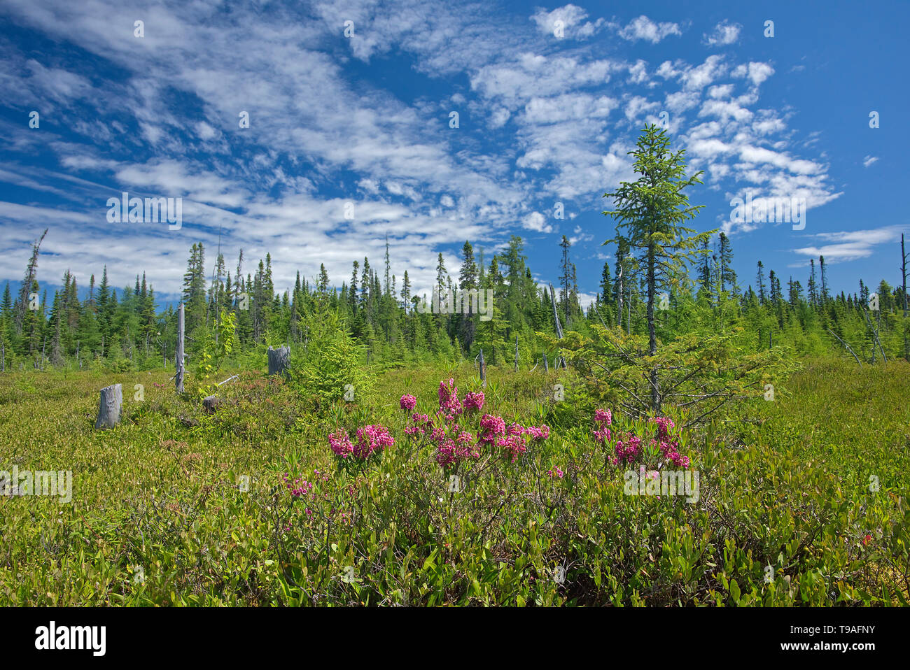 Rouyn noranda hires stock photography and images Alamy