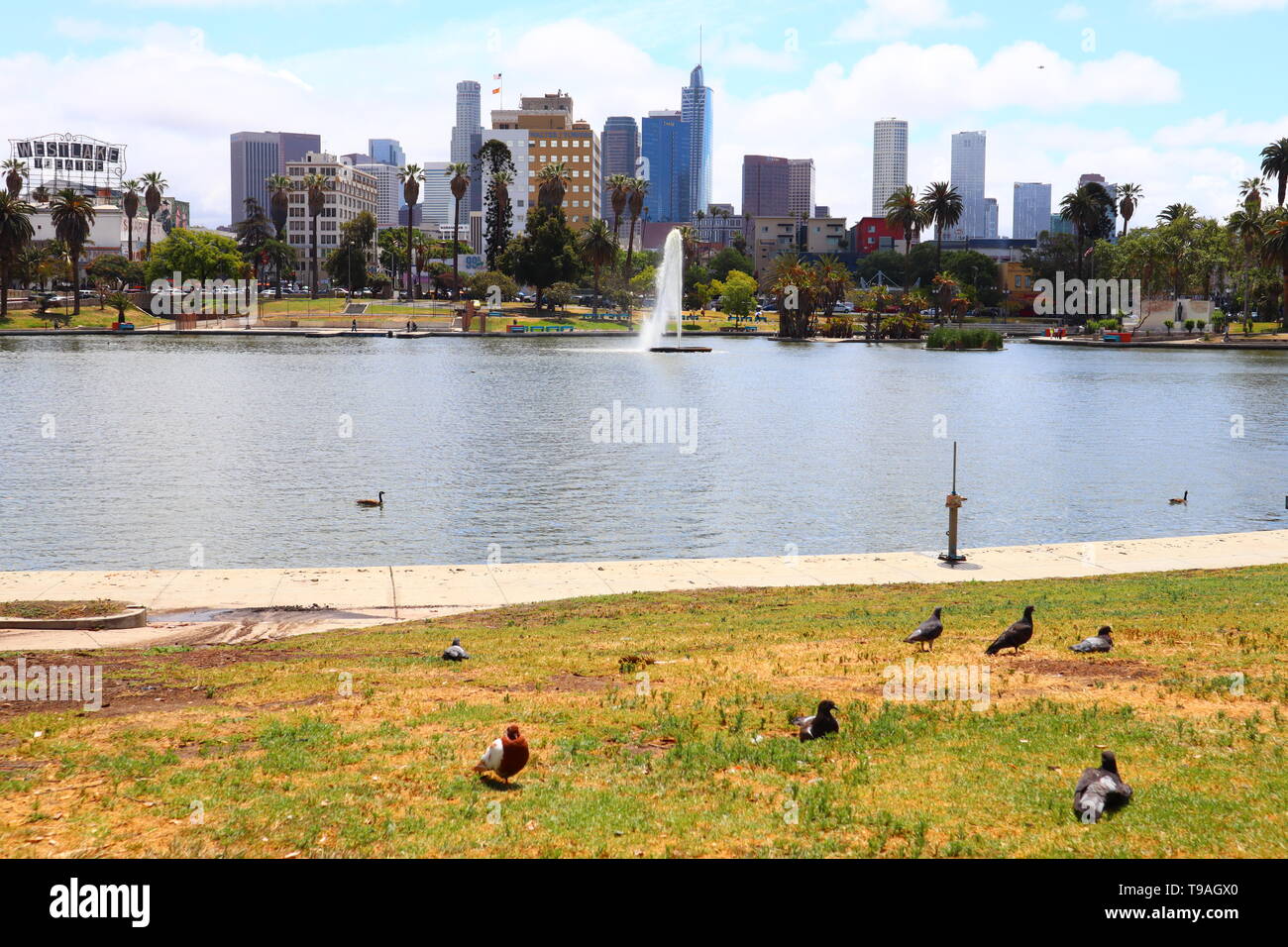 MacArthur Park located in the Westlake neighborhood of LOS ANGELES
