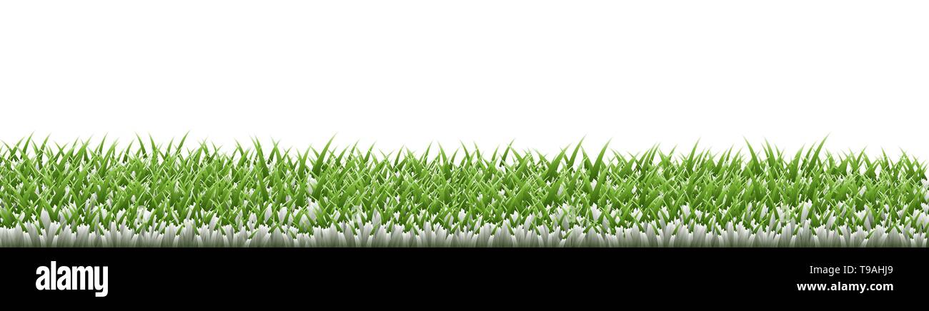 Green grass border set on white background. Vector Illustration Stock ...