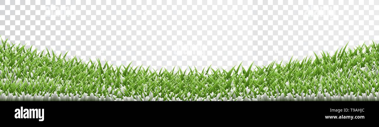 Green grass border set on transparent background. Vector Illustration ...