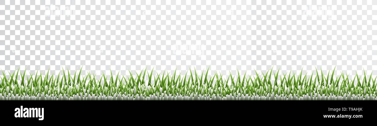 Green grass border set on transparent background. Vector Illustration ...