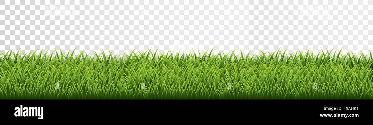 Green grass border set on transparent background. Vector Illustration ...