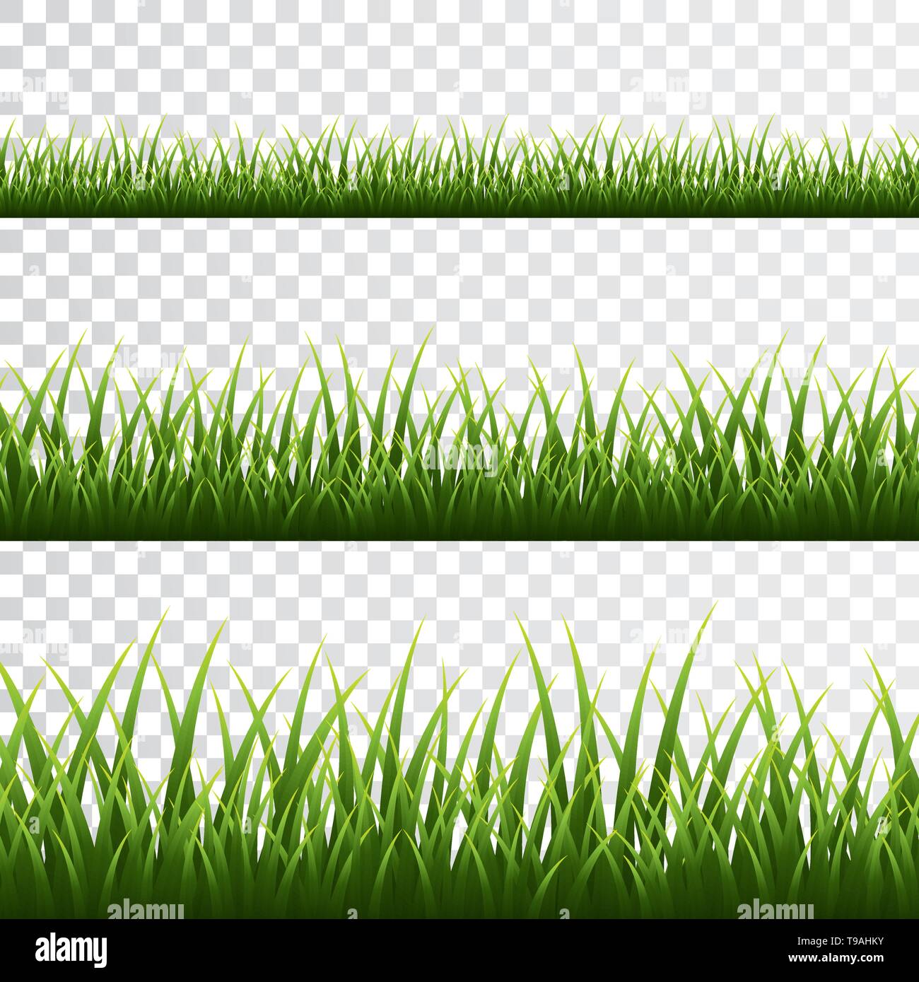 Green Grass Border On Transparent Background Vector White Swirl Thing