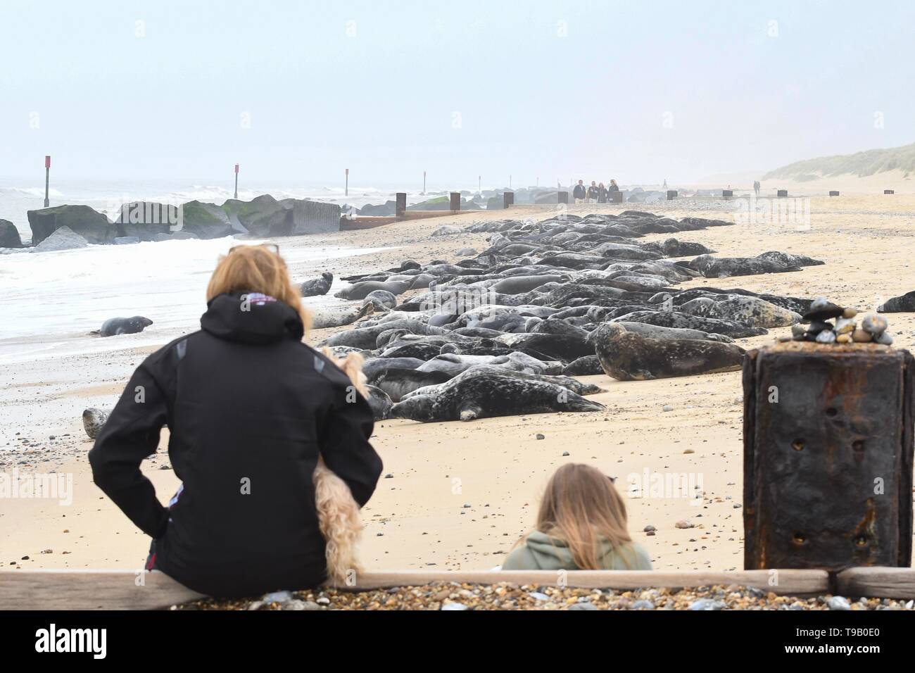 Horsey Norfolk England Uk 18th May 19 Uk Weather A Grey Misty Day In Norfolk For