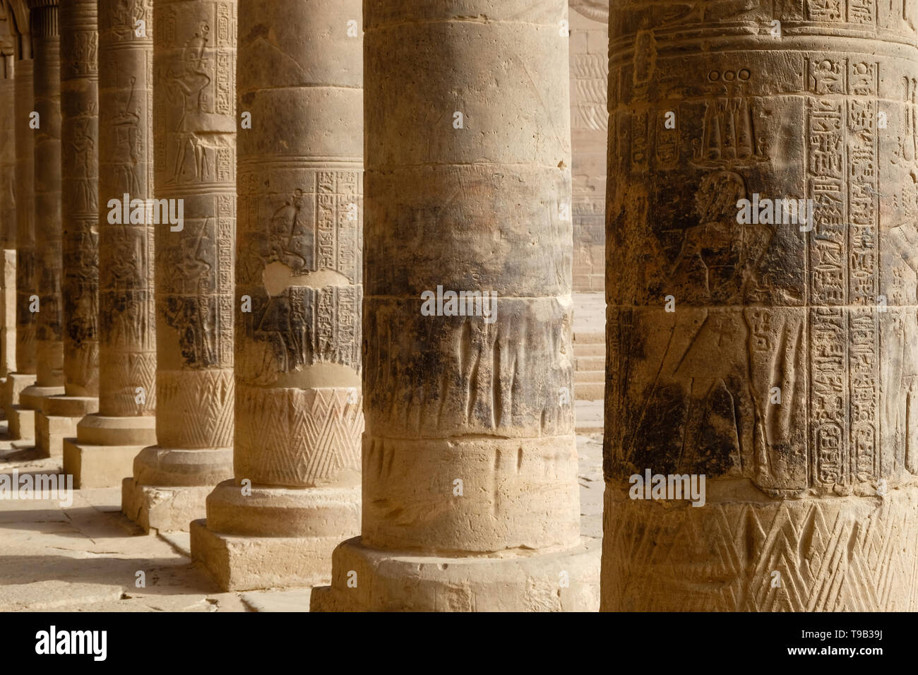 Egyptian pillar hires stock photography and images Alamy