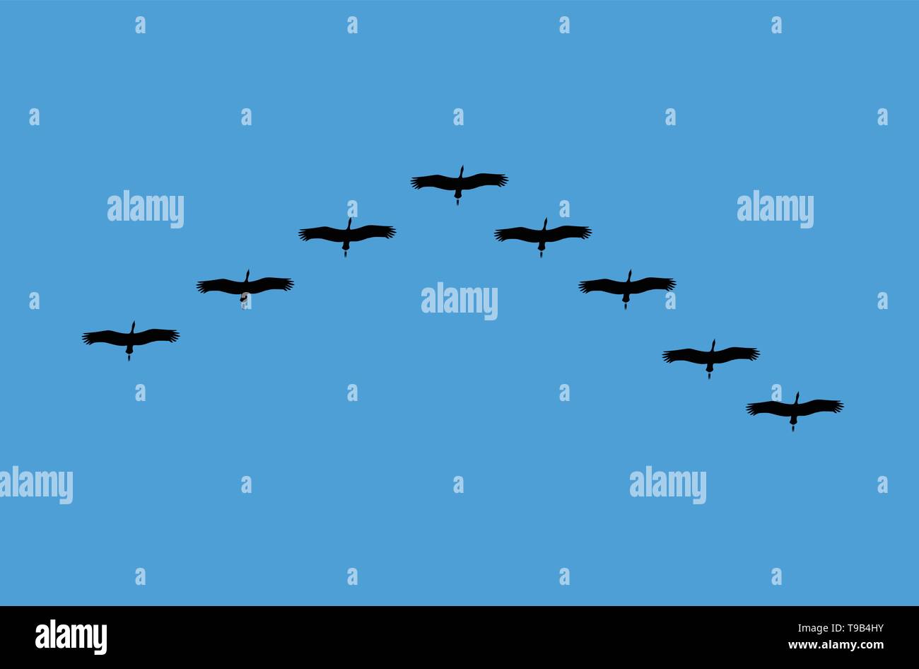 Bird Migration on blue sky, vector Stock Vector