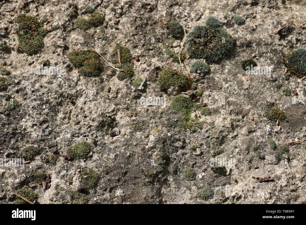 Rough texture hi-res stock photography and images - Alamy