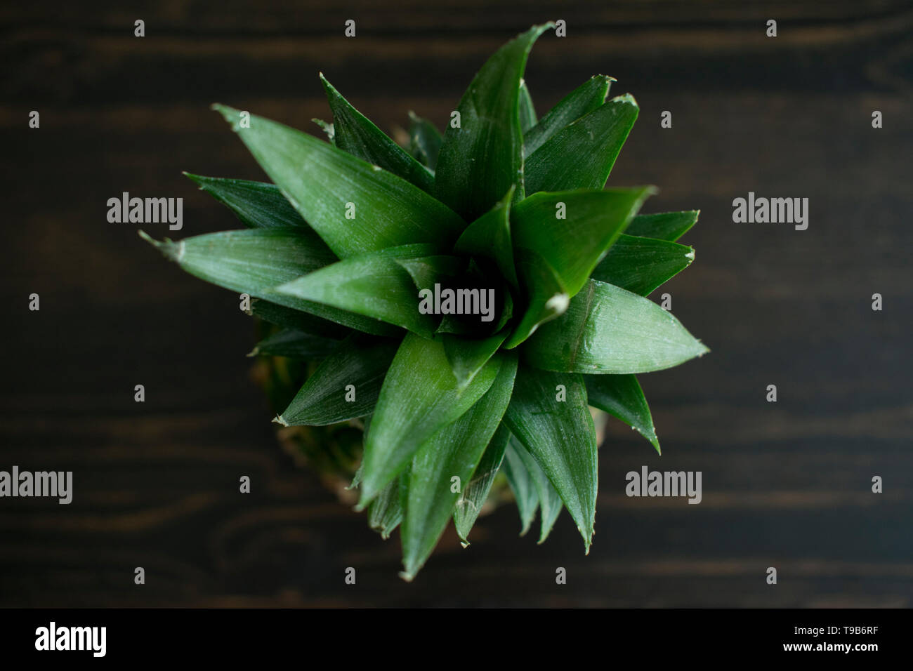 Top-Down View of a Whole Pineapple Stock Photo