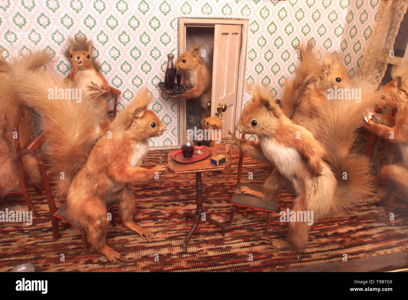 Squirrels stuffed hi-res stock photography and images - Alamy