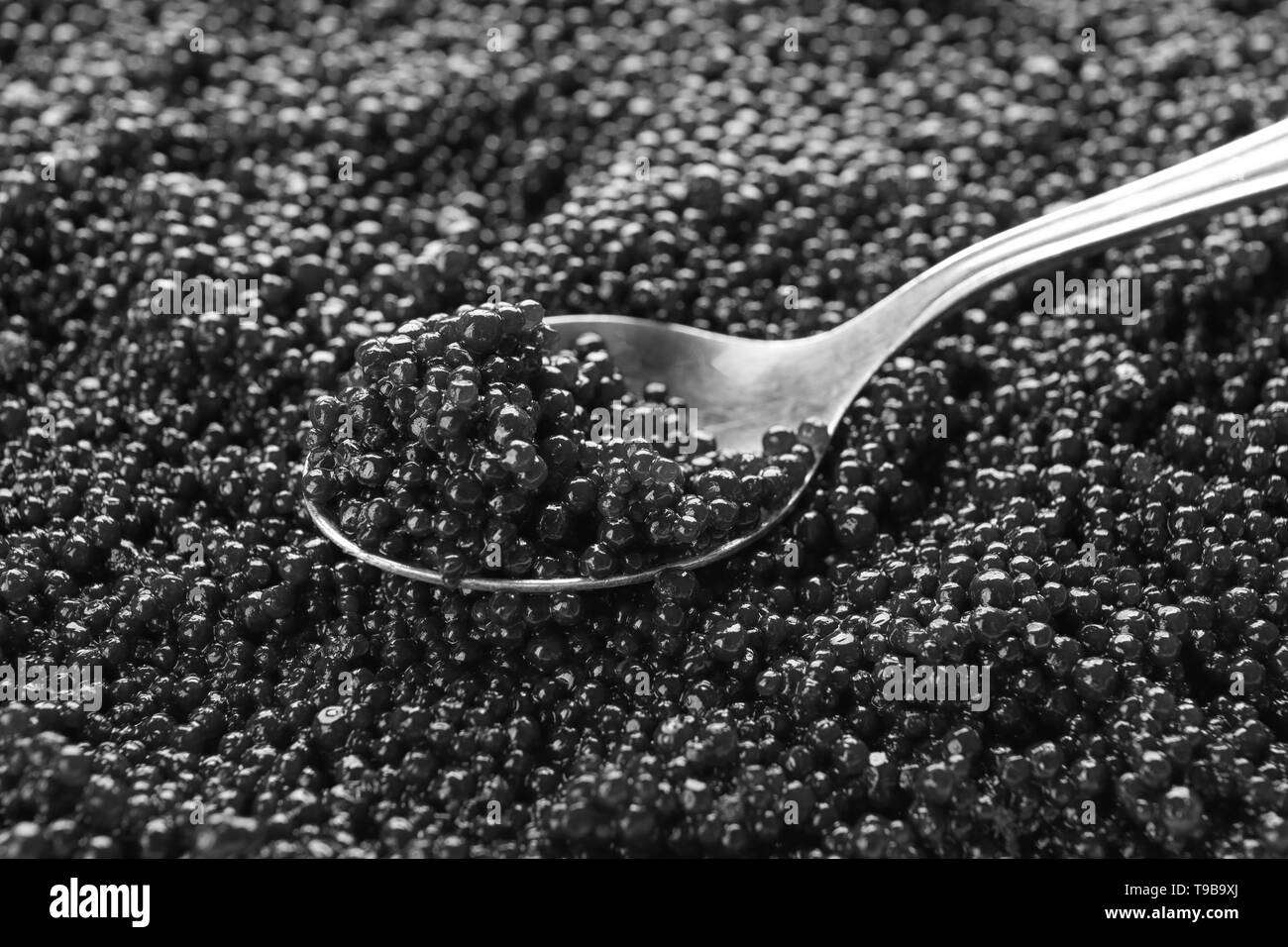 Osetra caviar Black and White Stock Photos & Images - Alamy