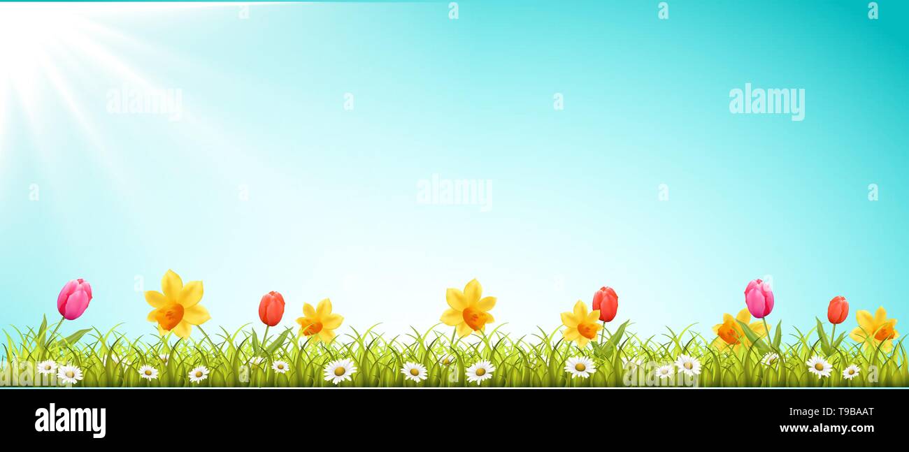 Spring meadow with flowers and sun vector design Stock Vector