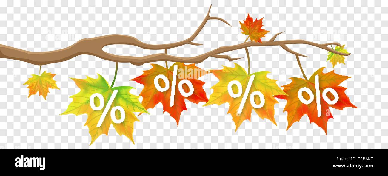 Autumn Fall Leaves Sale Promotion Offers Discount isolated vector design Stock Vector