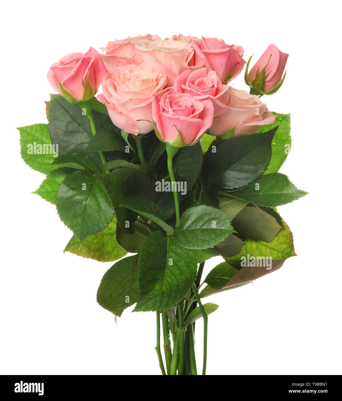 Beautiful bouquet of pink roses on white background Stock Photo - Alamy