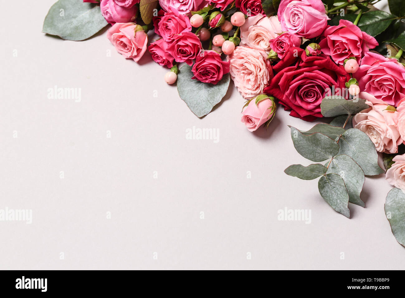 Many beautiful roses on white background Stock Photo - Alamy