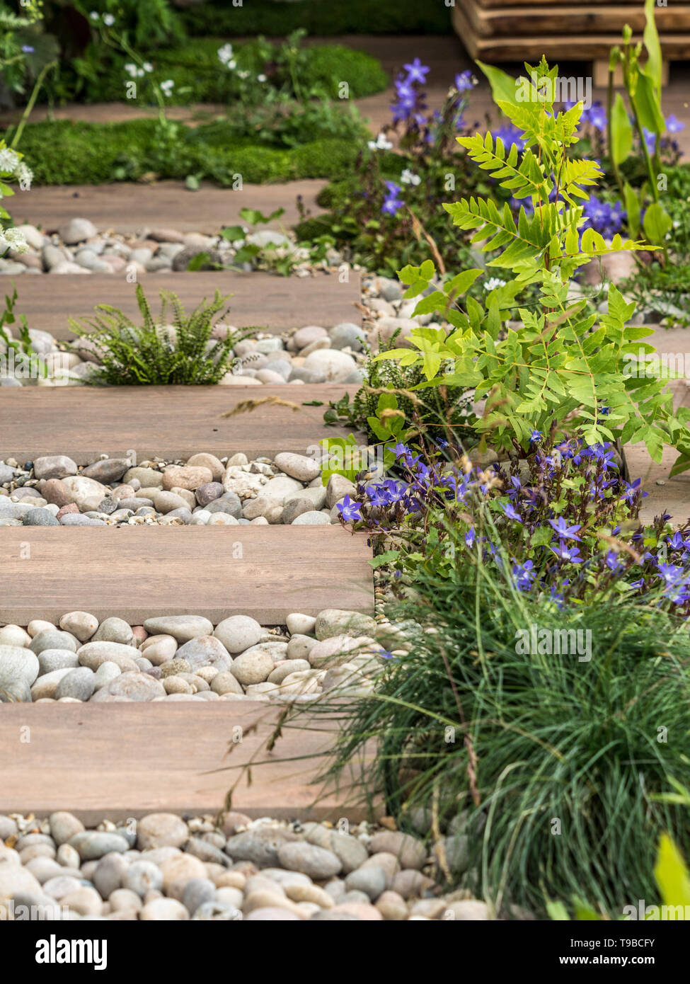 Wooden planks used as path surrounded by pebbles and interspersed with plants in garden Stock Photo