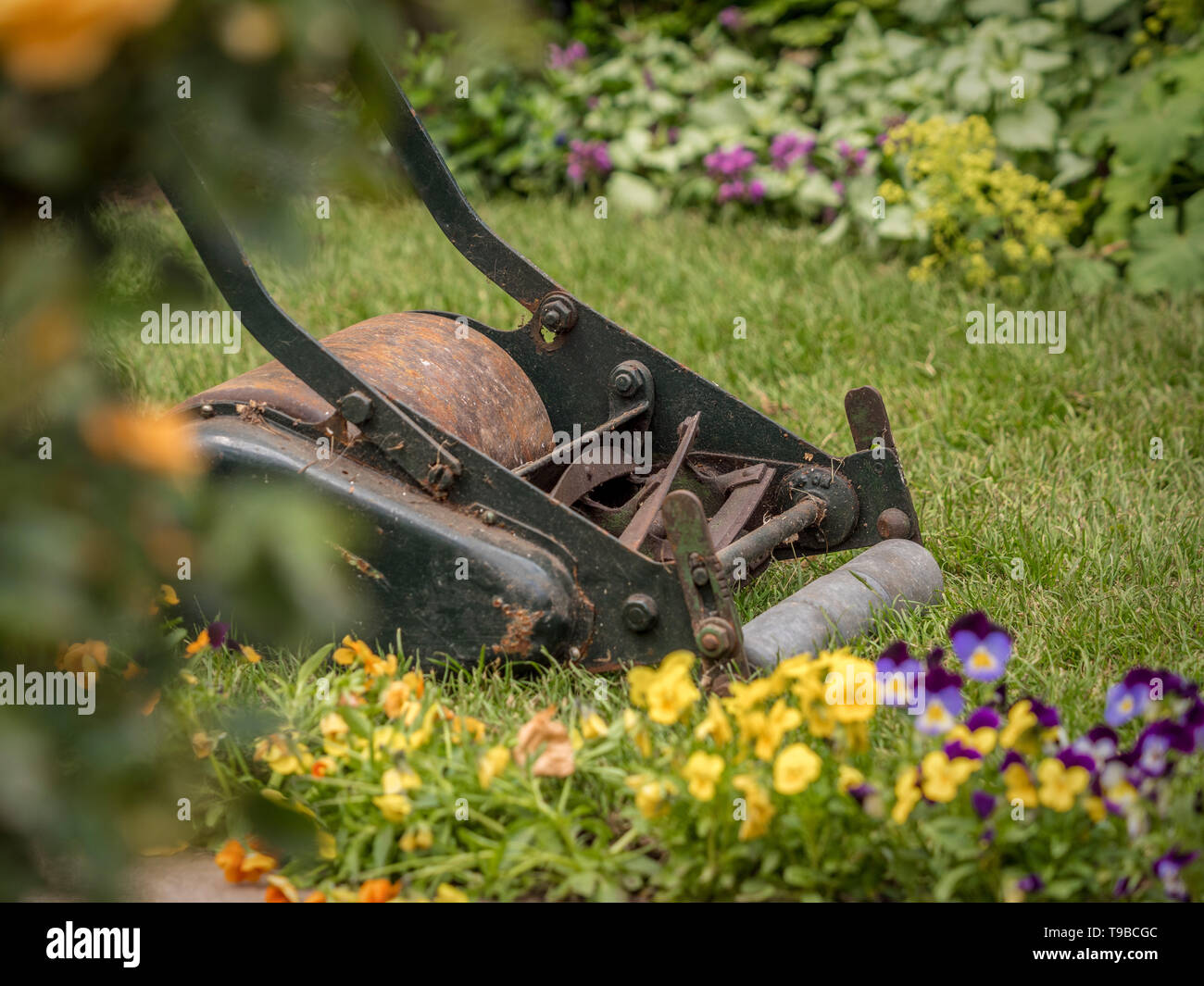 Suspicious man with a push reel lawn mower (OLVI008 OU474 F Stock