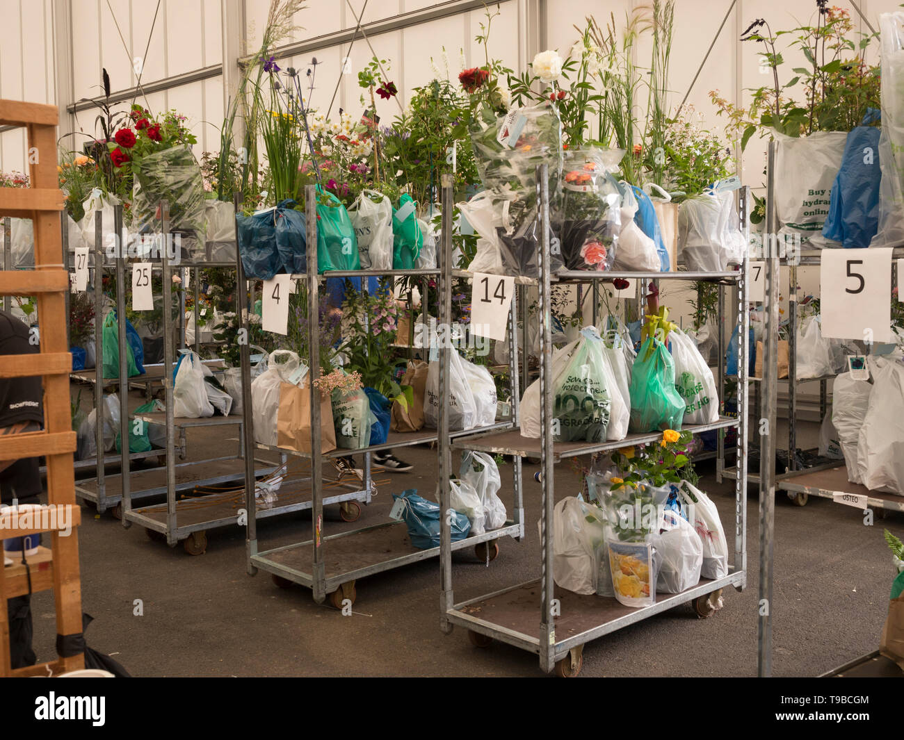 Customers purchased plants in bags on shelves at Gardening show Stock Photo