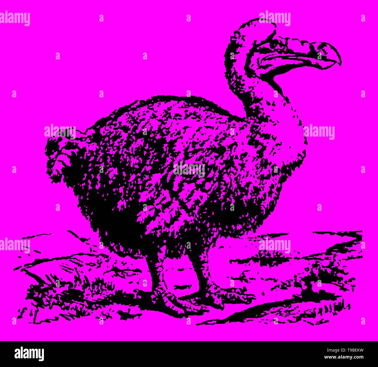 Extinct dodo (raphus cucullatus) standing in a landscape. Illustration ...