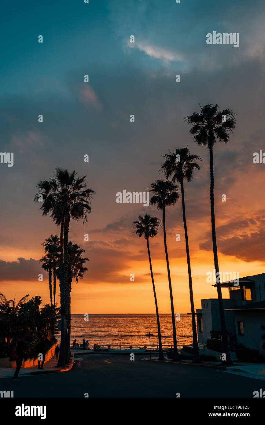 Palm Trees And Street At Sunset At Windansea Beach In La Jolla San Diego California Stock Photo Alamy Palm Trees And Street At Sunset At Windansea Beach In La Jolla San Diego California Stock Photo Alamy