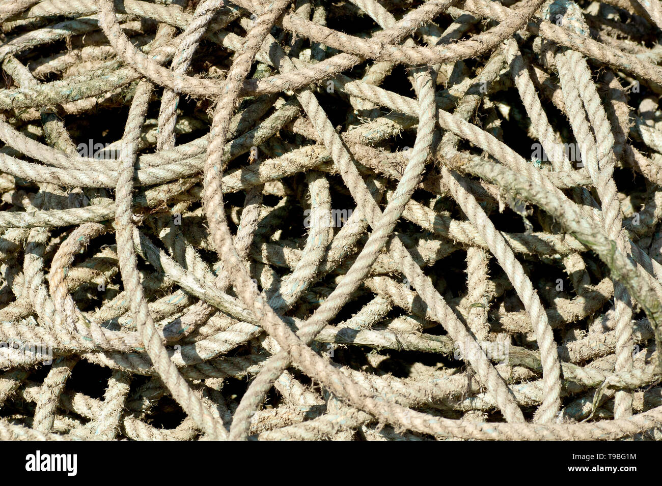 Swarming Rope Pile tangled rope hi-res stock photography and images - Alamy