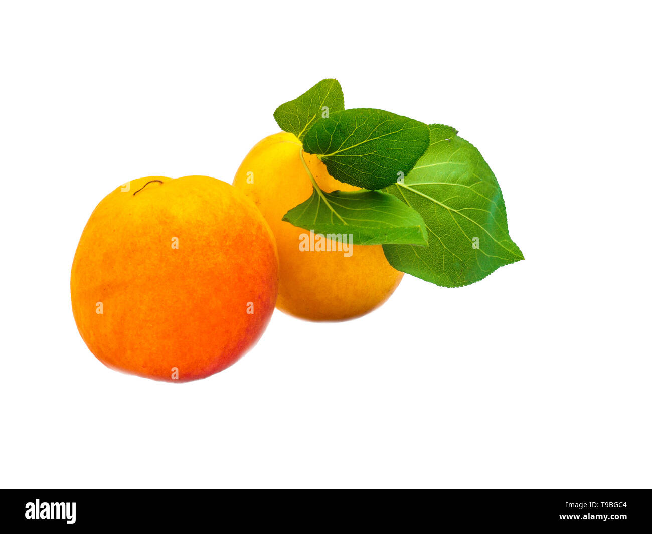 apricots with leaf isolated on white background Stock Photo - Alamy
