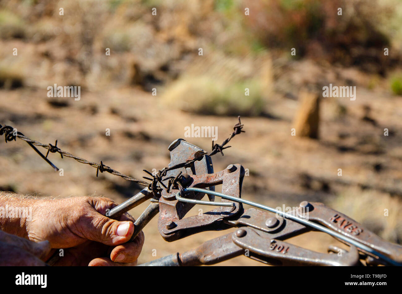 Fixing a fence using wire strainers and fencing pliers Stock Photo Alamy