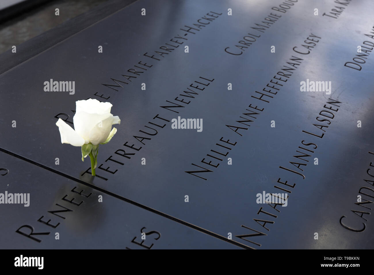 White rose on one of the victims names of the 911 attack,  engraved at the National September 11 Memorial park in New York City Stock Photo