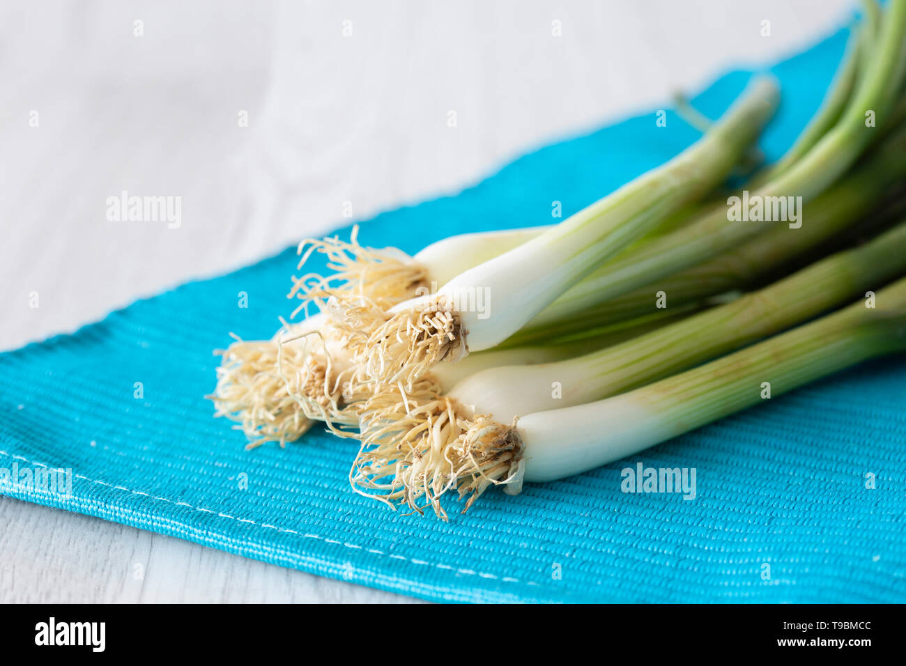 Spring onions in a bunch on a vibrant blue placemat with a grey wood